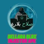Bellara Blrx Injector